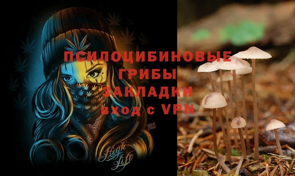 мескалин Богородицк