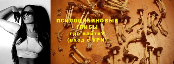 ALPHA PVP Богородск