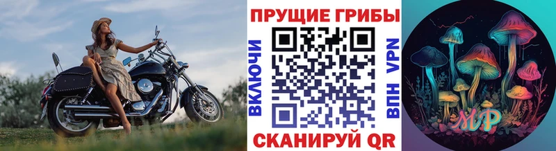 Галлюциногенные грибы Psilocybe Бирюсинск