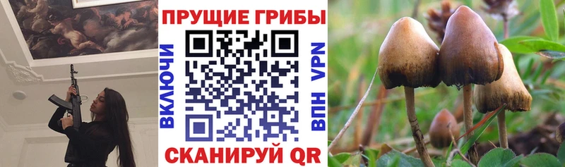 Галлюциногенные грибы прущие грибы  Бирюсинск 